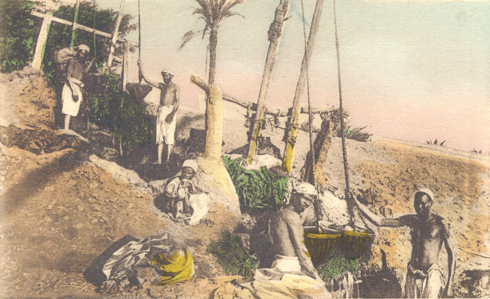 EGYPT. Shadoufs. Hand coloured. 1900 old antique vintage print picture